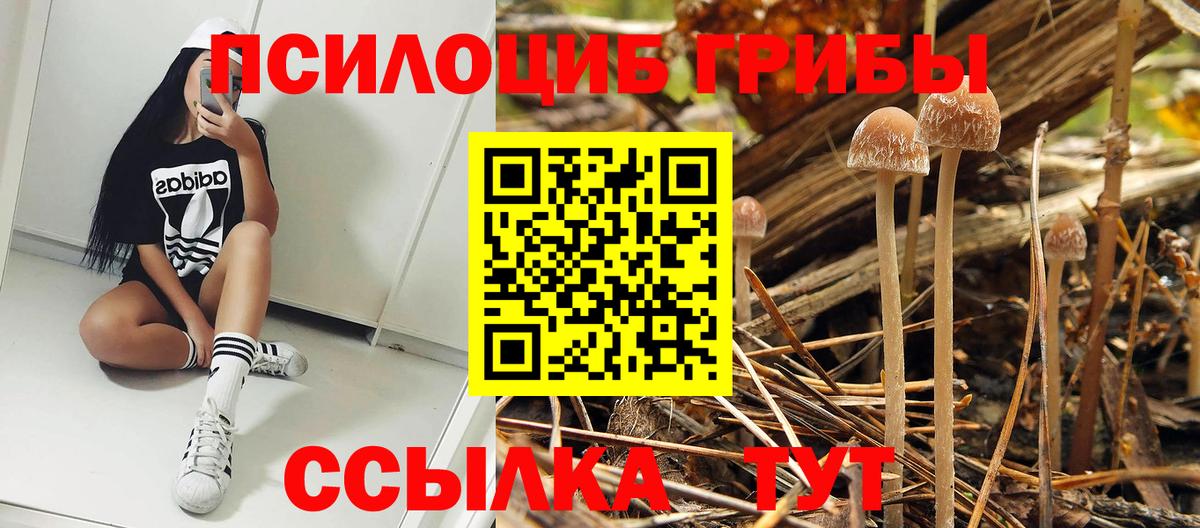 Краснодар  Псилоцибиновые грибы Psilocybe  Вход с VPN  Галлюциногенные грибы MAGIC MUSHROOMS 